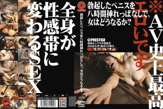 SZR-001 What happens to a woman with an erect penis inserted for eight hours? - Haruki Aoyama SZR-001