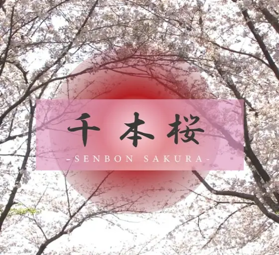 FC2-PPV-4566499 [The angel's smile has appeared again] Ran-chan is the most beautiful woman with the best looks and style. She has a secret rendezvous with her boyfriend. Ran is 20 years old. FC2-PPV-4566499