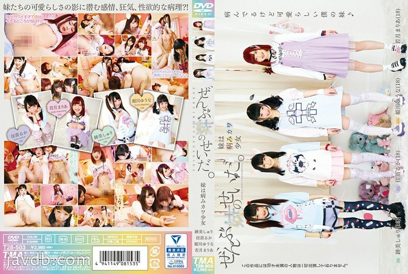 T28-503 It's all my sister's fault. ~ My sister is a sick Kawa girl ~ - Kanae Ruka T28-503
