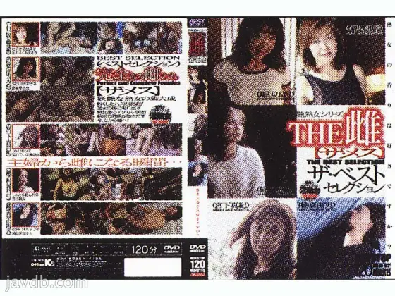 DKJB-02 THE BITCH BEST SELECTION - Maki Miyashita DKJB-02
