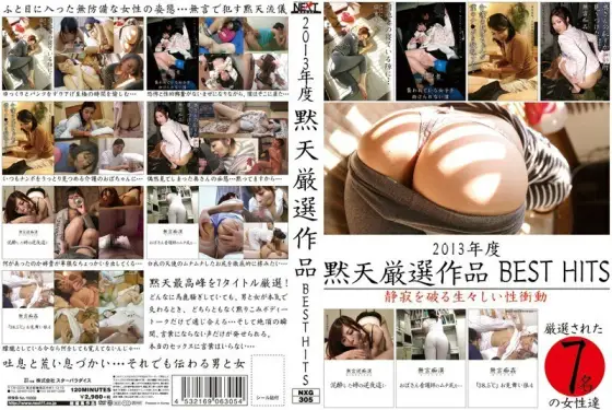 NXG-305 2013 Mokuten Carefully Selected Works BEST HITS NXG-305