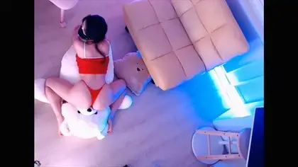 KBJ-24112827 kbj24112827_nemu00_20240922 KBJ-24112827