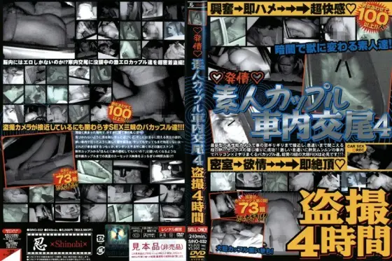 SINO-032 ◆ Estrus ◆ Amateur Couple Copulation In Car 4 Voyeur 4 Hours SINO-032