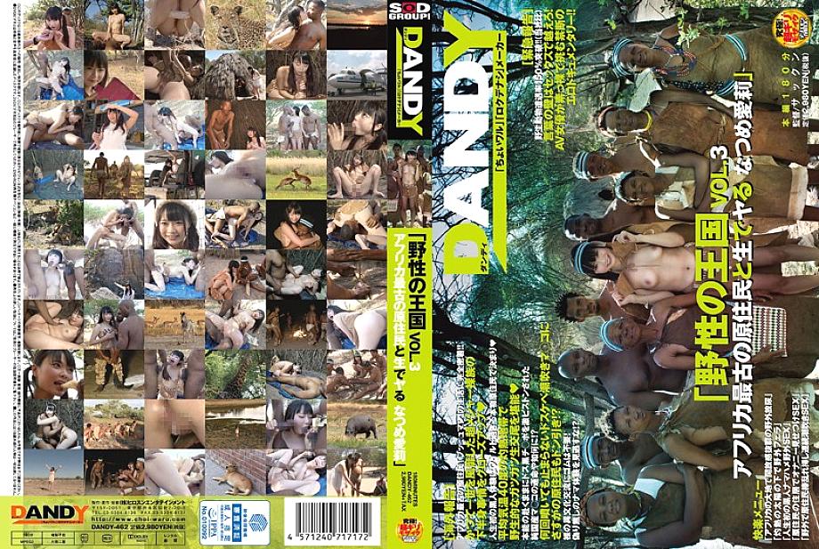DANDY-462 "Wild Kingdom" VOL.3 Arina Sakita, the oldest indigenous people in Africa DANDY-462