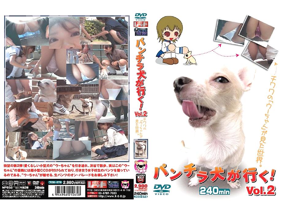 PUROD-072 Panchira dog goes! Vol.2 PUROD-072