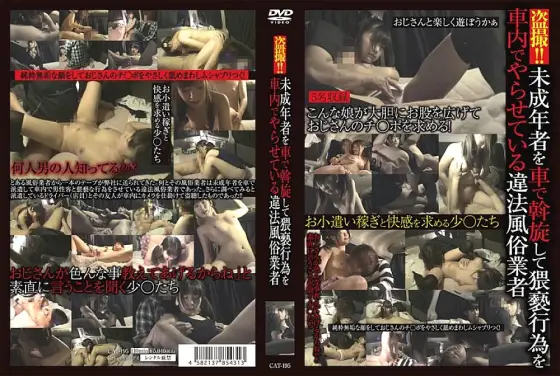CAT-195 Voyeur! ! Illegal sex traders who arrange minors in their cars and have them do obscene acts in the car CAT-195
