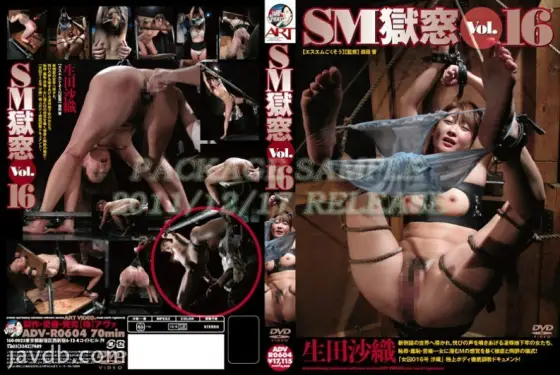 ADV-R0604 SM Prison Window Vol.16 ADV-R0604