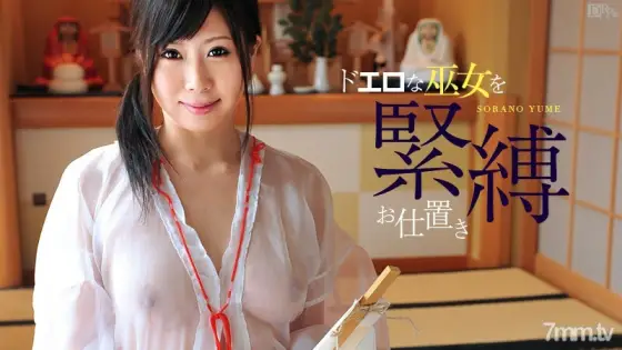 010812-909 Sheer Fetish Big Tits Vol.7 Sora no Yume 010812-909