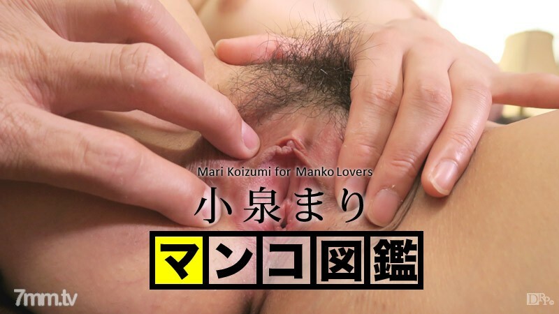 102215-001 Pussy picture book Mari Koizumi Mari Koizumi 102215-001