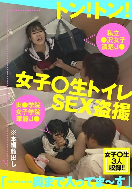 BDSR-484 Girls ○ Raw Toilet SEX Voyeur 3 BDSR-484