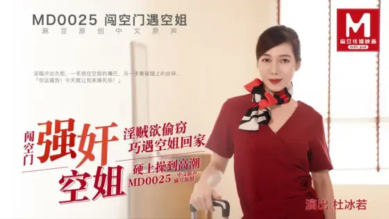 MD0025 play flight attendant MD0025