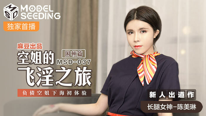 MSD037 The Flight Attendant's Distressed Journey / The First Experience of Debt Stewardess MSD037