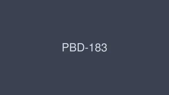 PBD-183 BEST OF PREMIUM 2012 6 Discs 88 Titles 24 Hours PBD-183