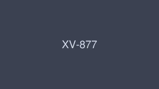 XV-877 Let Haruka Ito's heart beat! ! XV-877