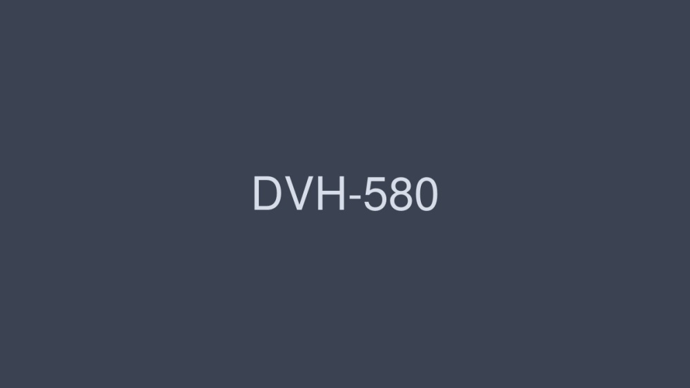 DVH-580 Discerning Handicraft 4 Hours SP 40 People's Handmade 16 DVH-580