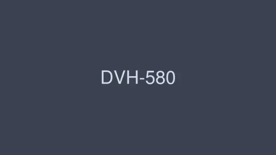 DVH-580 Discerning Handicraft 4 Hours SP 40 People's Handmade 16 DVH-580