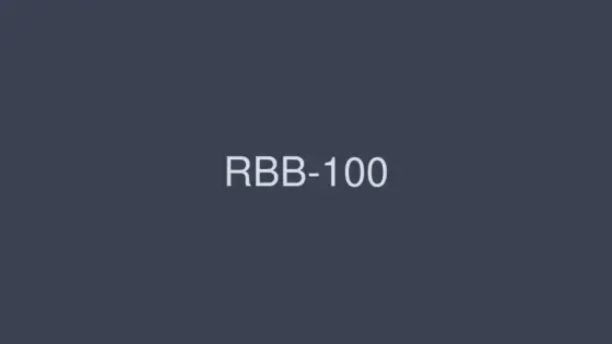 RBB-100 Breasts 8 Hours Ver.3 With The Perfect Golden Ratio Of "Shape", "Size" And "Feeling Comfort" RBB-100