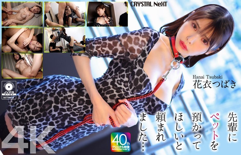 CRNX-254 [4K] My senior asked me to take care of his pet... Hanagoromo Tsubaki CRNX-254
