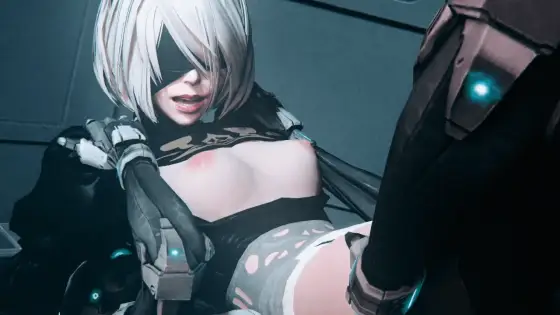Nier: First [Ass]embly avdb-h00543