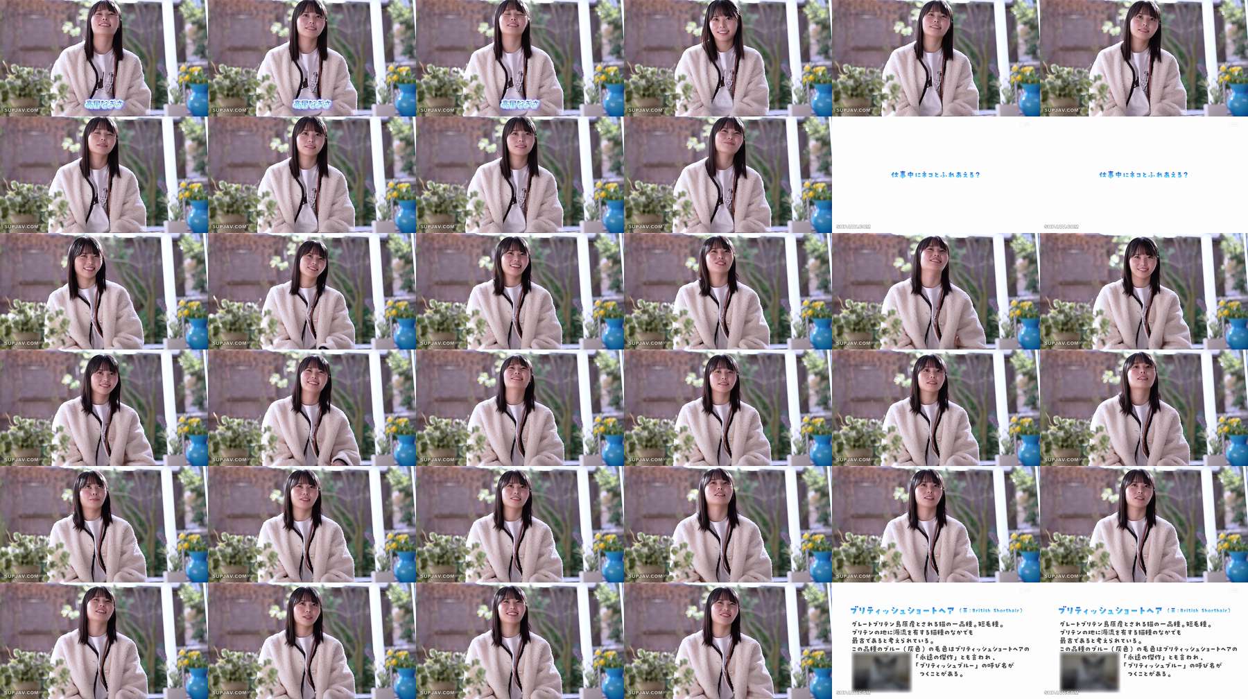 [UNCENSORED-LEAK] SDAB-349 18-year-old Nagisa Takaboshi, a naturally beautiful black-haired girl from Gen Z, who is now allowed to have unprotected sex: "I want to try everything I'm curious about!" Her first time having unprotected sex bri SDAB-349 ไม่เซ็นเซอร์ 