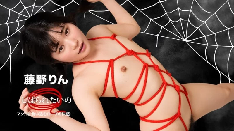 1PONDO-102125_001 1Pondo-102125_001 - I Want To Be Tied Up ~ The Pleasure Of Rope Digging Into Me ~ 1PONDO-102125_001