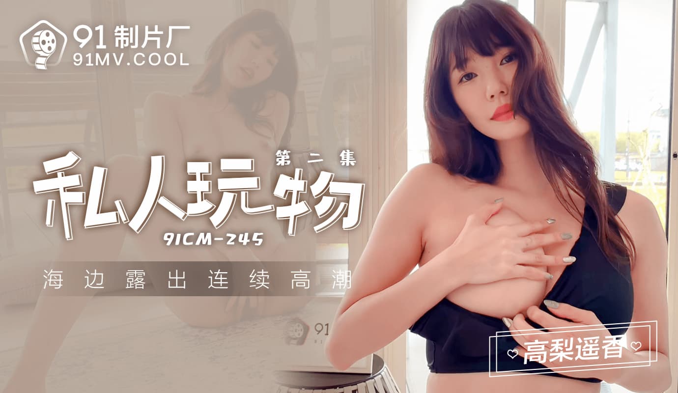 Private Toy 2: Beach Exposure with Continuous Climax 91CM-245